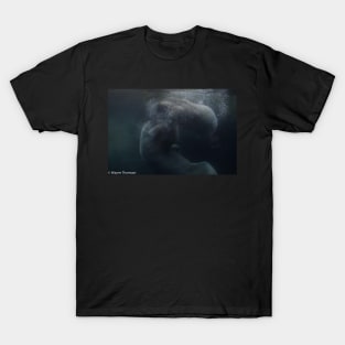 Polar Bear Play T-Shirt